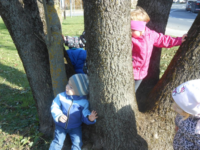 jesen v parkui dec 2014 008