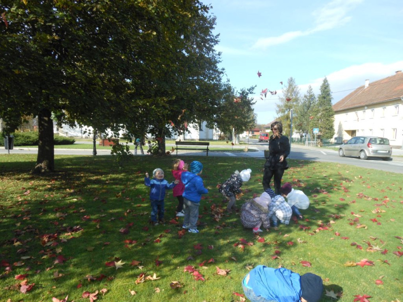 jesen v parkui dec 2014 010