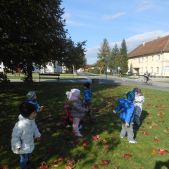 jesen v parkui dec 2014 011