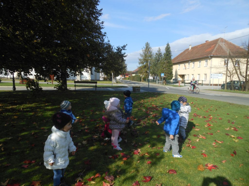 jesen v parkui dec 2014 011