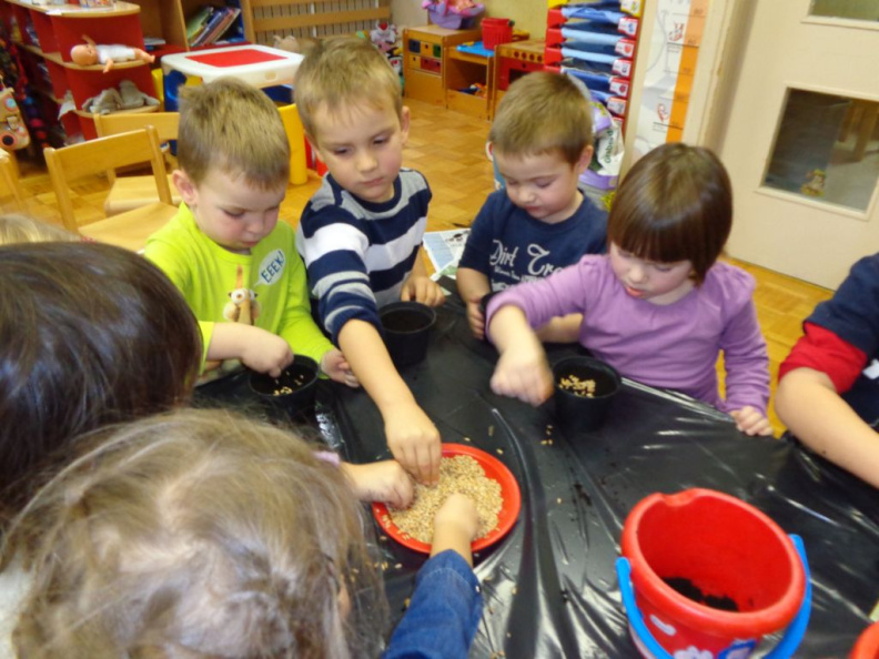 cvetlicarka dec 2014 033