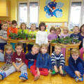 cvetlicarka dec 2014 040