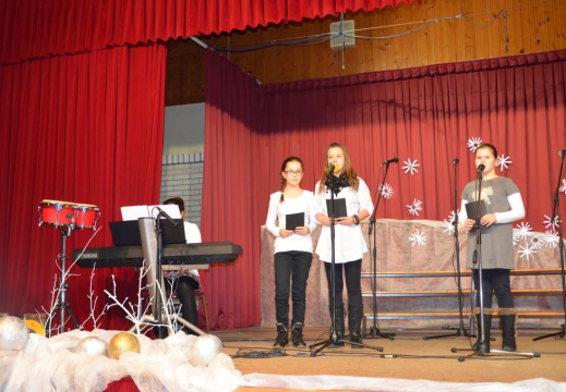 bazar dec 2014 048