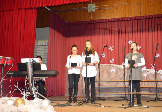 bazar dec 2014 049