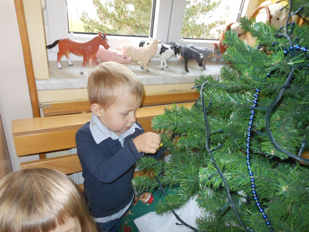 krasenjejelke jezkii dec 2014 001