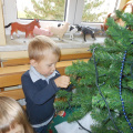 krasenjejelke jezkii dec 2014 001