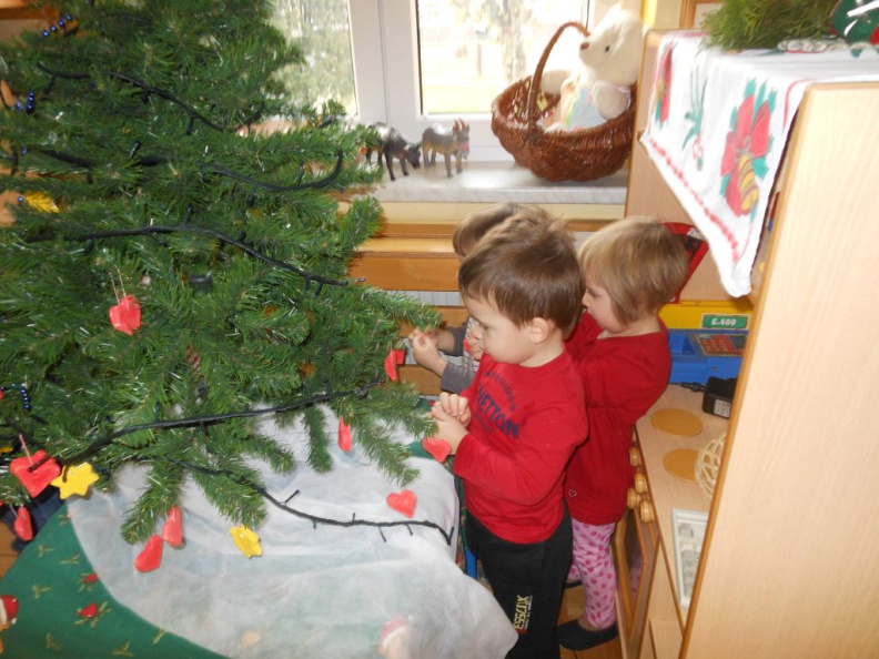 krasenjejelke jezkii dec 2014 005