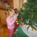 krasenjejelke jezkii dec 2014 006