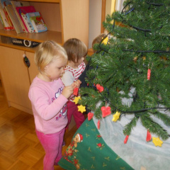 krasenjejelke jezkii dec 2014 006