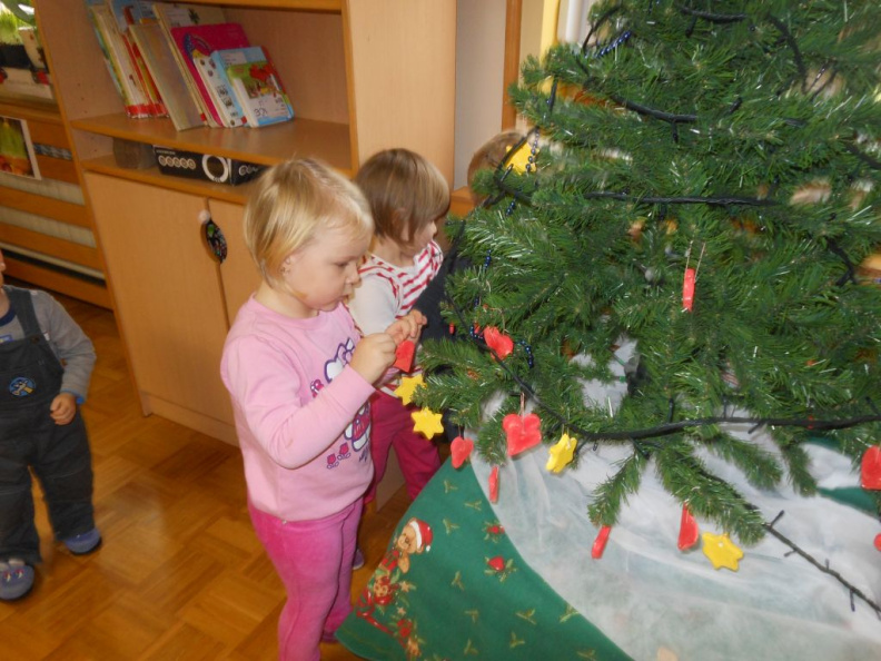 krasenjejelke jezkii dec 2014 006