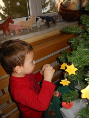 krasenjejelke jezkii dec 2014 012