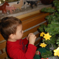krasenjejelke jezkii dec 2014 012