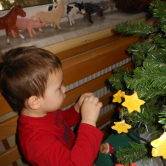 krasenjejelke jezkii dec 2014 012