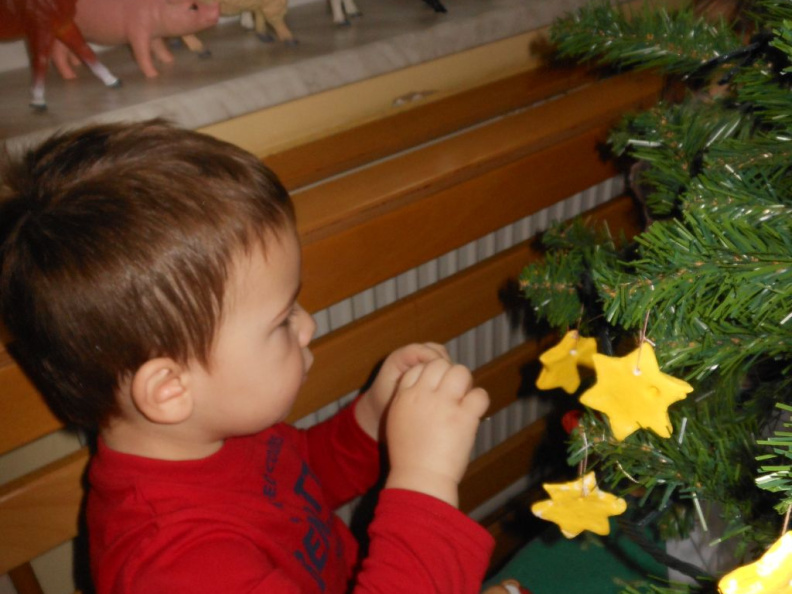krasenjejelke jezkii dec 2014 012