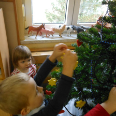 krasenjejelke jezkii dec 2014 015