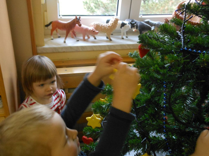 krasenjejelke jezkii dec 2014 015