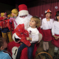 dedekm jezkii dec 2014 002