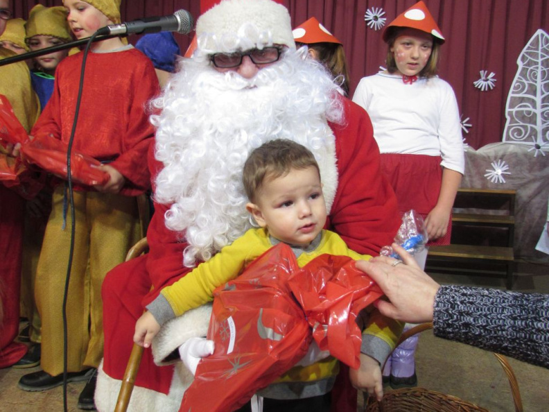 dedekm cebel dec 2014 006