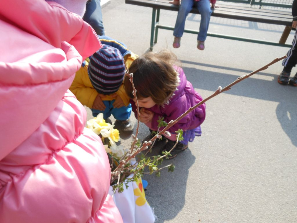 pomlad mar 2015 013