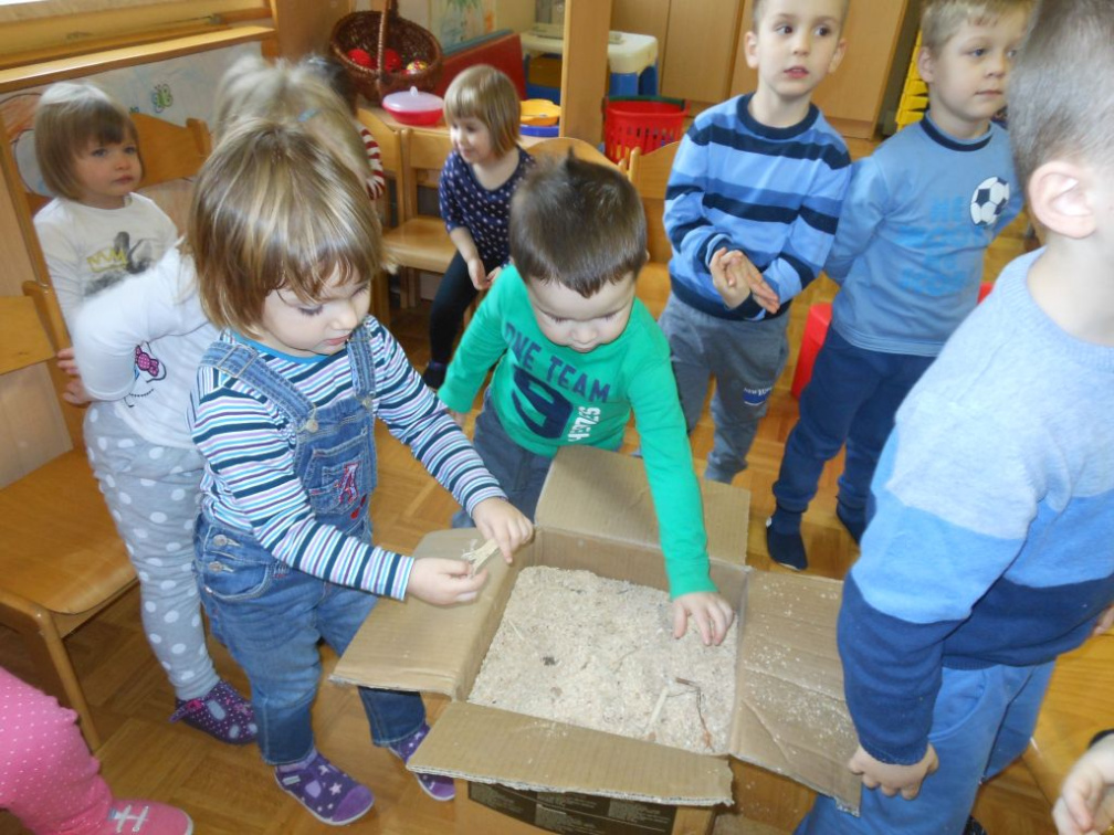 travko mar 2015 004