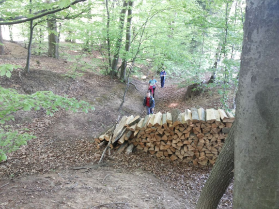 sp dan maj 2015 004