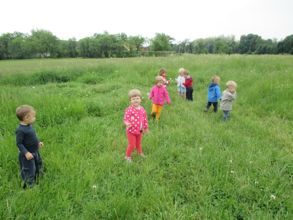 utrinki maj 2015 015
