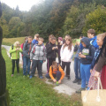 vacebogensperk okt 2015 020