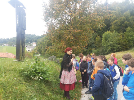 vacebogensperk okt 2015 019
