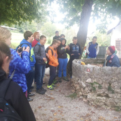 vacebogensperk okt 2015 023