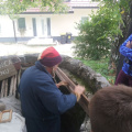vacebogensperk okt 2015 027