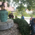 vacebogensperk okt 2015 029