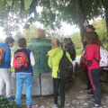 vacebogensperk okt 2015 033