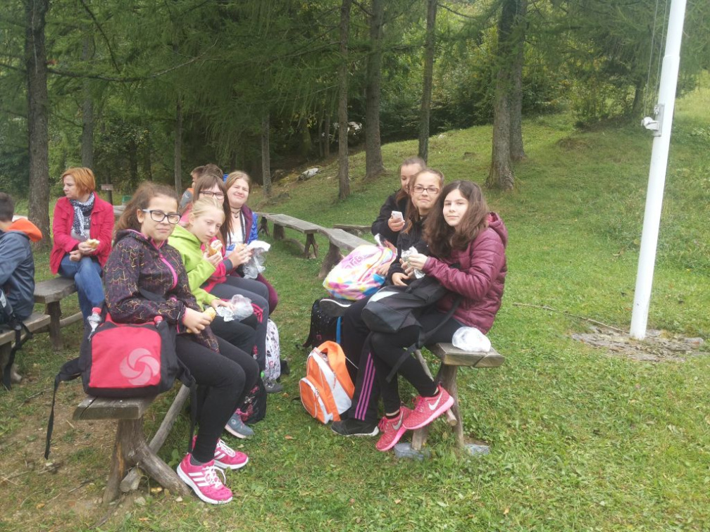 vacebogensperk okt 2015 066