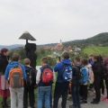 vacebogensperk okt 2015 087