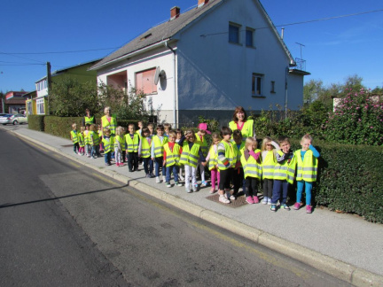 dan brez avtomobila okt 2015 003