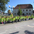 dan brez avtomobila okt 2015 006