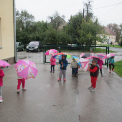 dezek pada okt 2015 001