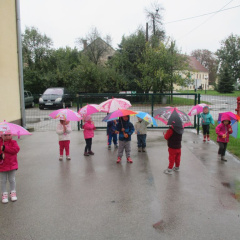 dezek pada okt 2015 002