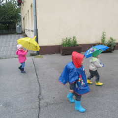 dezek pada okt 2015 004