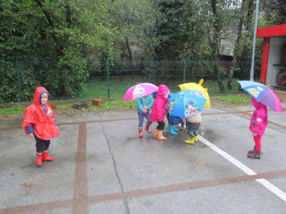 dezek pada okt 2015 006