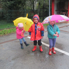 dezek pada okt 2015 008