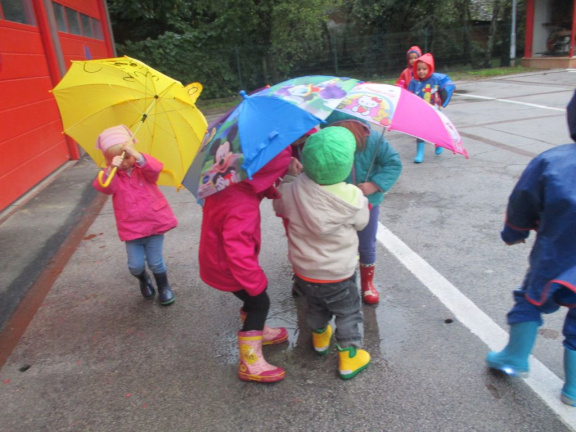 dezek pada okt 2015 009
