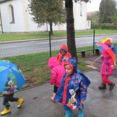dezek pada okt 2015 012