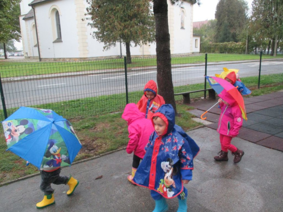 dezek pada okt 2015 012