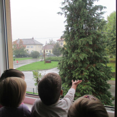 dezek pada okt 2015 013
