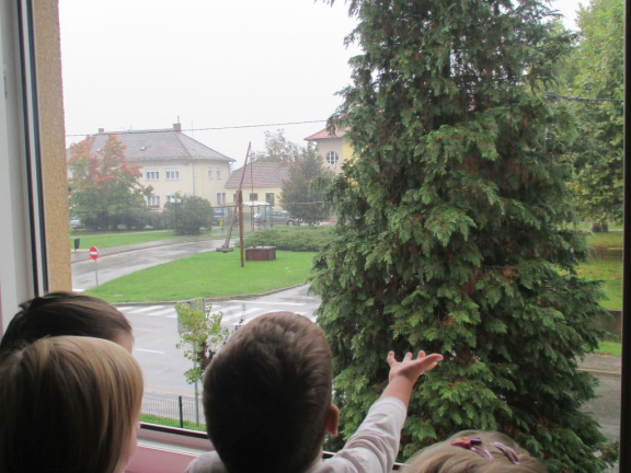 dezek pada okt 2015 013