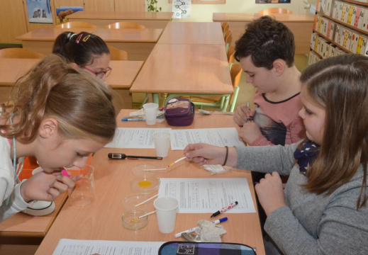 trad slo zajtrk nov 2015 060