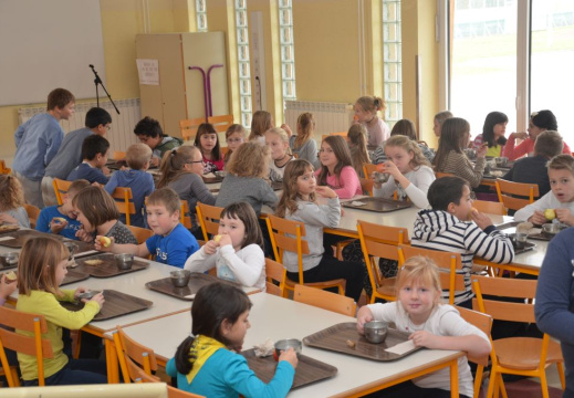 trad slo zajtrk nov 2015 069