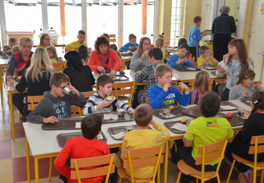 trad slo zajtrk nov 2015 068