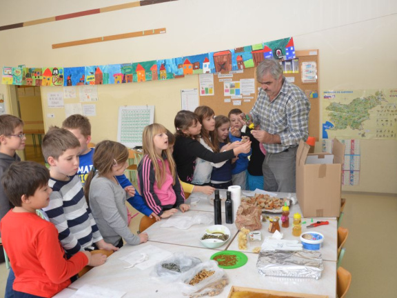 trad slo zajtrk nov 2015 129